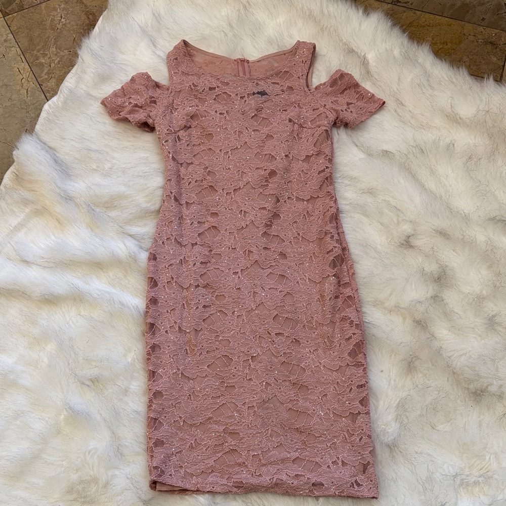 Enfocus Studio Blush Pink Lace and Sparkle Dress